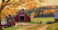 Rett Sturman’s ‘Vermont Barns’: Vernacular paintings alive with light and color