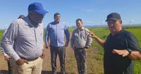 Cuban leaders are once again calling for increased food production in Havana as the agricultural crisis worsens
