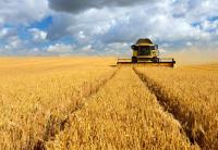 ‘How do we protect the long-term future of farming businesses?’