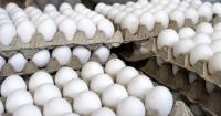 The egg in Cuba: a luxury at 135 pesos in Las Tunas