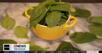 Are 'Superfoods' real or just a marketing strategy?