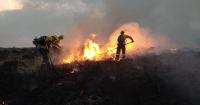 Hexham among UK's highest wildfire risk areas as fire crews get specialist training