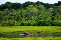 Togo Sets New Rules for Protected Areas to Support Green Investment