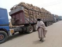 The North, Food Security, and the True Cost of Reform -By Mohammad Shettima Hayerma