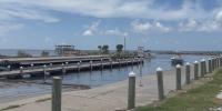 No scalloping in St. Joseph Bay this season: What it means for tourism