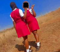 Uniform posts expose pupils to predators