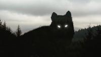 Watch: Wondrous 'Werewolf' Filmed in Brazil