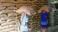 80 years of food security, the next step: Building a nutrition-secure rural India