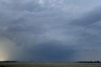 Farmers say southeast Sask. rain won’t dampen start of harvest