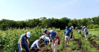 Travelers Across America volunteers help spruce up Oliver Kelley Farms