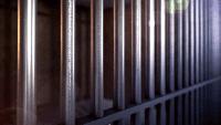 Asheville felon sentenced to federal prison for fentanyl distribution: DOJ A previously convicted felon from Asheville is heading back to prison for distributing fentanyl, the U.S. Department of Justice said.