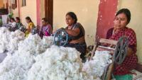 India's textile, apparel exports fall 1.84% in Apr-Jul: CITI data