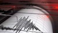 Indonesia earthquake: Magnitude 7.7 Quake strikes Flores, 2 dead; tsunami warning issued
