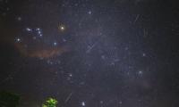 Cyprus looked up as Perseids lit the summer sky