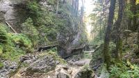 Dried up creeks and missing waterfalls: What I found on a trip to Austria’s most famous gorge
