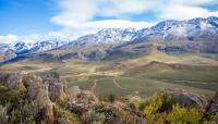 Post-storm recovery: Managing soil and stock after severe weather 