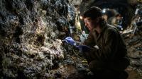 Scientists Find Thriving Fungal Ecosystem Deep Underground