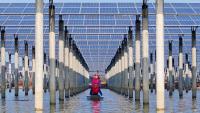 China’s green revolution and what it means for the world