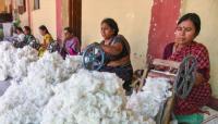 Textile-apparel exports fall 1.84 pc to $11.96bn in Apr-July 2026