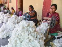 Textile-apparel exports fall 1.84 pc in Apr-July as apparel shipments slump 10.52 pc: CITI