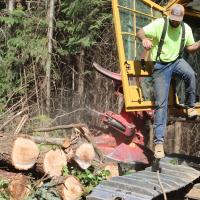 In a world of wildfires, logging can improve forest health