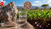 Scientists unlock potassium from Morocco’s syenite rock to create a slower-release fertiliser for African crops