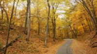 New IDNR leader could reshape Illinois future