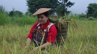 “Bhutan must treat agriculture as economic mandate to secure food future”