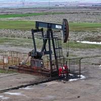 Diyarbakır could produce up to three times as much oil as Gabar: Minister