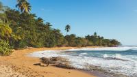 I visited the Caribbean island home to Bad Bunny with waterfall hikes and some of the best coffee in the world