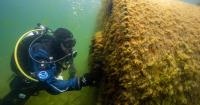 Force Blue ex-combat divers aid NOAA with Lake Ontario sanctuary