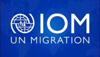 IOM: Restoring Peace, Livelihoods in Nigeria’s Banditry-Affected North-west 