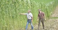 Congress is debating a nationwide ban on hemp. Here's what that means for Lancaster County businesses, farmers