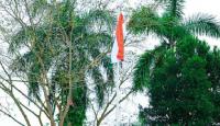Flag Hoisting, Cultural Performances Mark India’s 80th I-Day Celebrations Worldwide