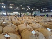 Tobacco Supply Fears Ease as Malawi Production Falls Below 2026 Trade Demand