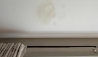 Pennsylvania homeowner hits repair dead end after leak appears beneath aging solar panels