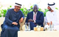 How UAE is taking its Africa investment into new sectors