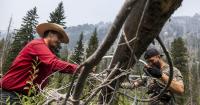 'A lot of public support': Crews clear trails to keep Montana backcountry accessible