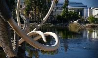 California Closes $236M Financing for La Brea Tar Pits Expansion