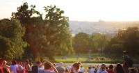 Can trees keep Prague cool as temperatures rise?