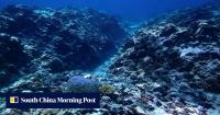 Beijing issues ecological report to solidify South China Sea claims amid US row
