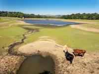 Burnham unveils £65m drought support for farmers