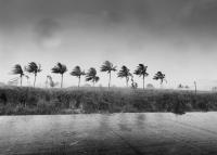 Agriculture Ministry Urges Farmers and Fishers to Prepare for Deteriorating Weather