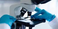 How to renew American scientific research
