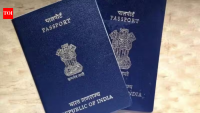 'I don’t feel rooted here': Indian couple in Ireland to return to Pune after 11 years, citing AI pressure and job stress