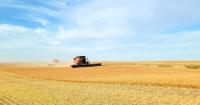 Optimism surges among Canadian farmers as 12-month outlook shifts | CFSI July 2026