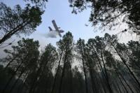 European wildfires: Latest developments