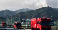 Fast-growing Belgium wildfire burns at least 1,600 hectares
