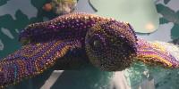 ‘Toxic Beauty;’ Mississippi Aquarium exhibit makes masterpieces out of pollutants