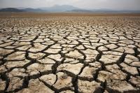 How severe drought is affecting Colorado, from record fishing restrictions to threatened power supplies